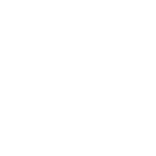 169724381's emblem