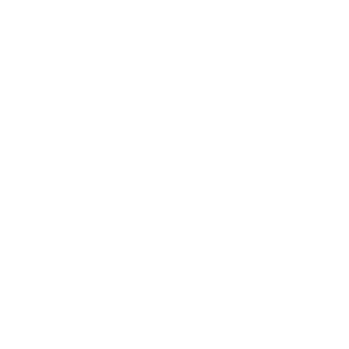 Pascoal29's emblem