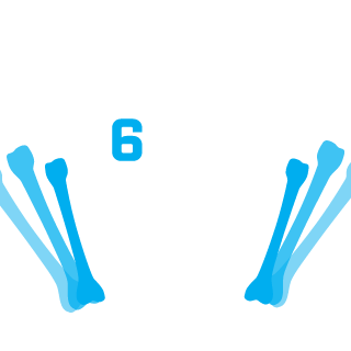 RunkaBright's emblem