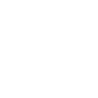 amaralbrs's emblem