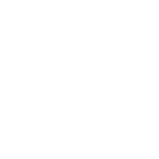 2Achilles's emblem