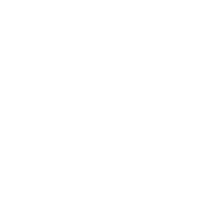 CALLZEROBR's emblem