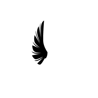 919__Nusher__919's emblem