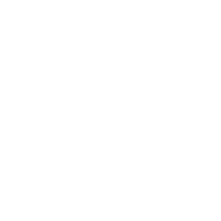 Solowingpixy228's emblem