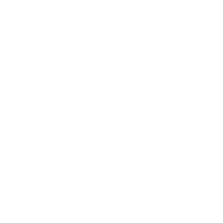 eriknygr's emblem