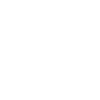 Pedrorgamer1's emblem