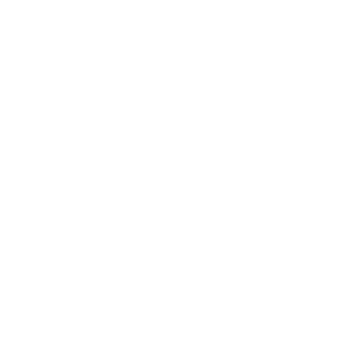 YoucefNaili1's emblem