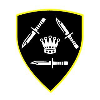Hypernix69's emblem