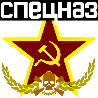 DaSpetsnazSlaya's emblem
