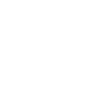 V4PA's emblem