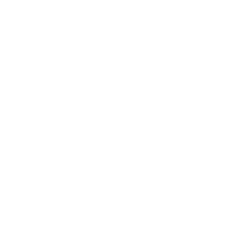 nhlbond's emblem