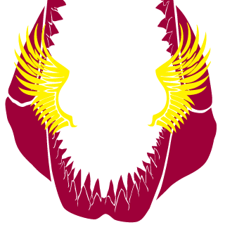 S2PRAIA's emblem