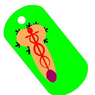 ButtyButtyButty's emblem
