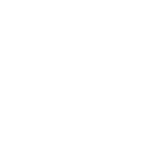 2EagLe7's emblem
