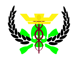 l_s33_u_1n_H3ll_'s emblem