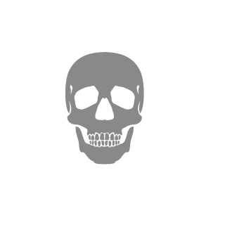 xStewiex1's emblem