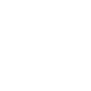 Zolinho99's emblem