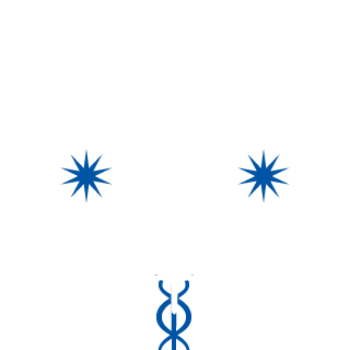 Timosaur's emblem