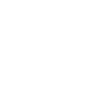 Riskotor23RUS's emblem