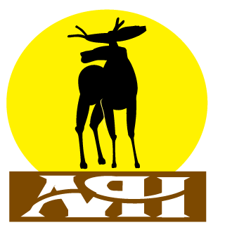 AYAN-Abakansk's emblem