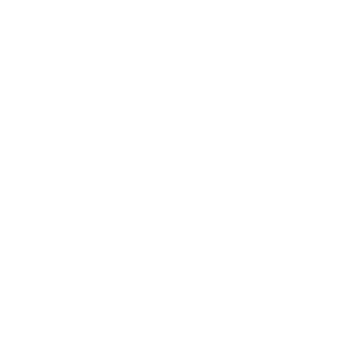 DearSirIndia's emblem