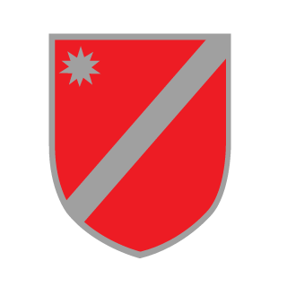 YoungBenzini's emblem