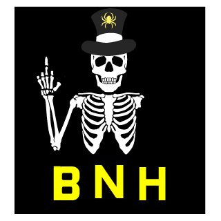 Norick8808's emblem