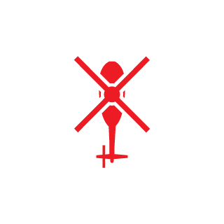 t3hwUn's emblem