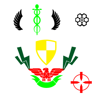 Pir4tet2m's emblem