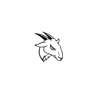 rollercastel's emblem