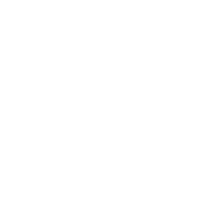 1BaSkE1's emblem