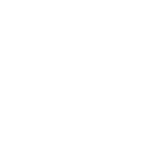 budnov990's emblem
