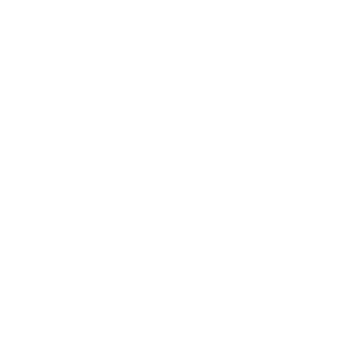3xKZeus's emblem