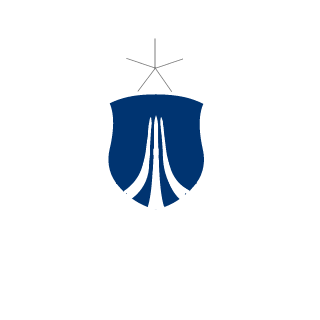bf23333333333333's emblem