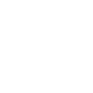 1337Whiskey1337's emblem