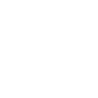 H0rsi-16's emblem