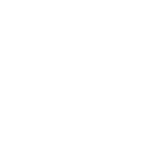 1ScrooM1's emblem