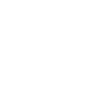 PIECE_OF_DEATH's emblem