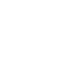 NlKNAK's emblem
