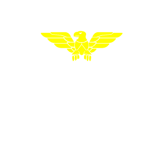 dfvrnmd's emblem