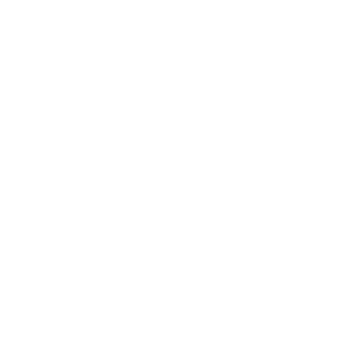 B7_LSR's emblem