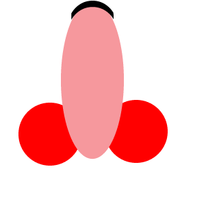 proyboy000's emblem