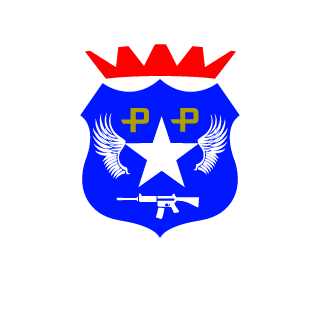DarkScoutCL's emblem