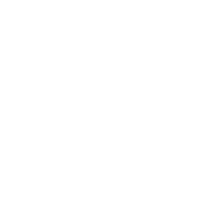 T34Sanya24ru's emblem