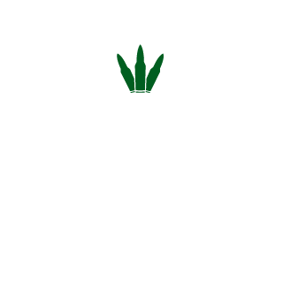 F4BU3N0's emblem
