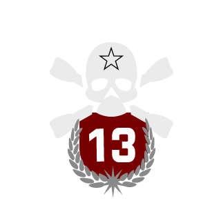 Navek13's emblem