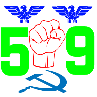 vicking591's emblem