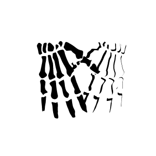 Dasor_0013's emblem