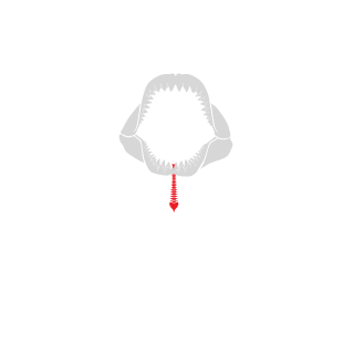 Reddinbocker's emblem