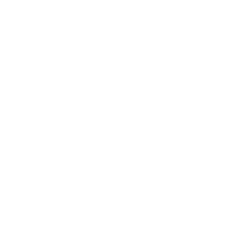 IridiumSteel's emblem